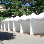 carpa en alquiler